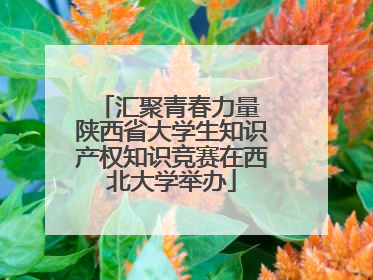 汇聚青春力量 陕西省大学生知识产权知识竞赛在西北大学举办
