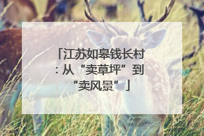 江苏如皋钱长村：从“卖草坪”到“卖风景”