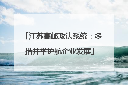 江苏高邮政法系统：多措并举护航企业发展