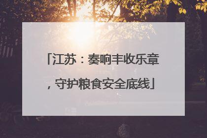 江苏：奏响丰收乐章，守护粮食安全底线