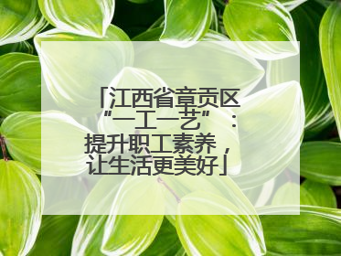 江西省章贡区“一工一艺”：提升职工素养，让生活更美好