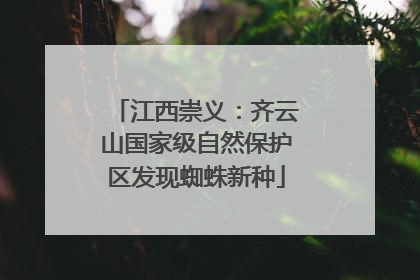 江西崇义：齐云山国家级自然保护区发现蜘蛛新种