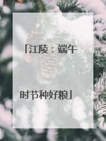 江陵：端午时节种好粮