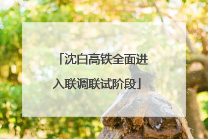 沈白高铁全面进入联调联试阶段