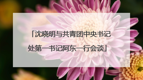 沈晓明与共青团中央书记处第一书记阿东一行会谈