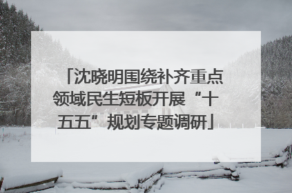 沈晓明围绕补齐重点领域民生短板开展“十五五”规划专题调研