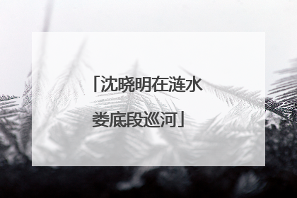 沈晓明在涟水娄底段巡河
