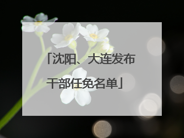 沈阳、大连发布干部任免名单