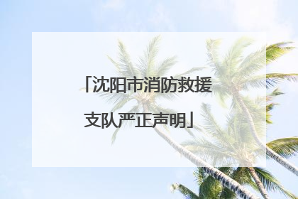 沈阳市消防救援支队严正声明