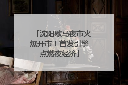 沈阳歇马夜市火爆开市！首发引擎点燃夜经济