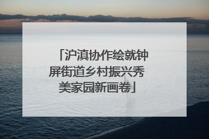 沪滇协作绘就钟屏街道乡村振兴秀美家园新画卷
