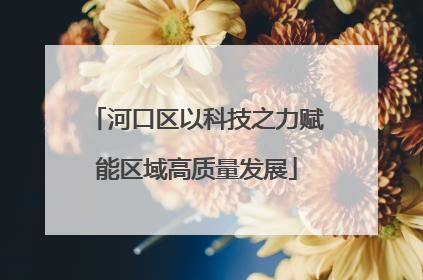 河口区以科技之力赋能区域高质量发展