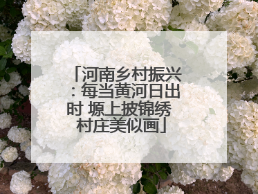 河南乡村振兴：每当黄河日出时 塬上披锦绣 村庄美似画