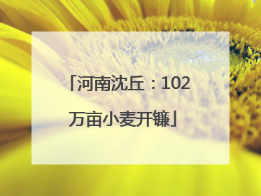 河南沈丘：102 万亩小麦开镰