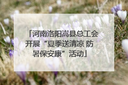 河南洛阳嵩县总工会开展“夏季送清凉 防暑保安康”活动