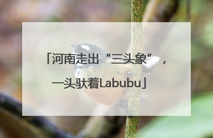 河南走出“三头象”，一头驮着Labubu