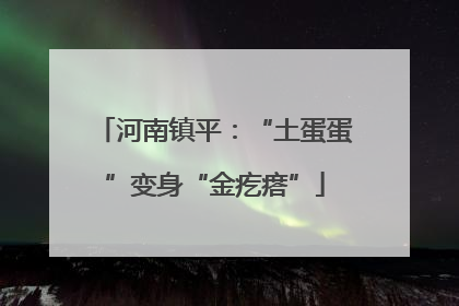 河南镇平：“土蛋蛋”变身“金疙瘩”