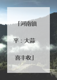 河南镇平：大蒜喜丰收