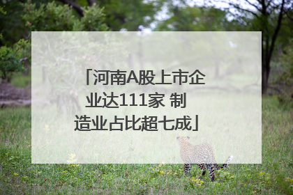 河南A股上市企业达111家 制造业占比超七成
