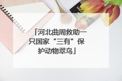 河北曲周救助一只国家“三有”保护动物翠鸟