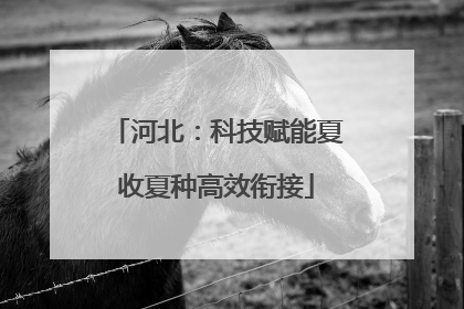 河北：科技赋能夏收夏种高效衔接