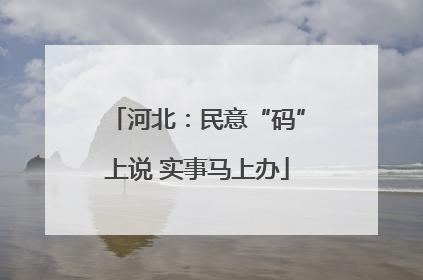 河北：民意“码”上说 实事马上办
