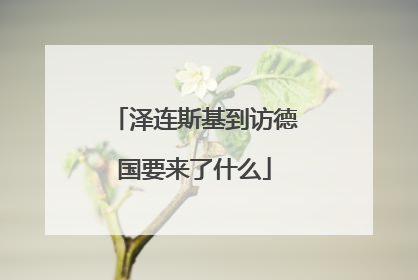 泽连斯基到访德国要来了什么