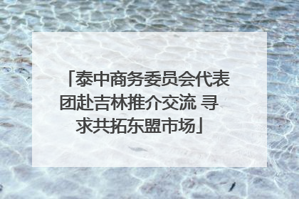 泰中商务委员会代表团赴吉林推介交流 寻求共拓东盟市场