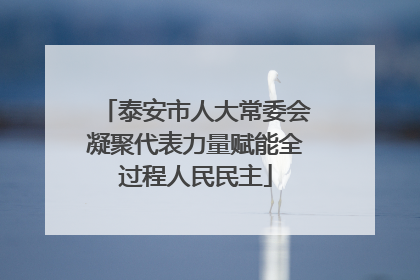 泰安市人大常委会凝聚代表力量赋能全过程人民民主