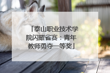 泰山职业技术学院闪耀省赛：青年教师勇夺一等奖