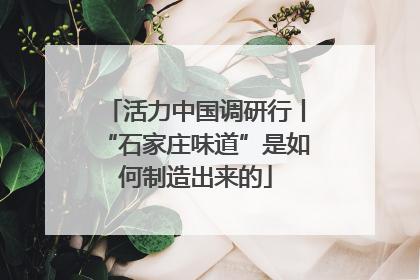 活力中国调研行丨“石家庄味道”是如何制造出来的