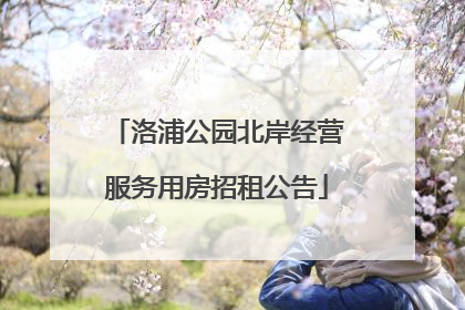 洛浦公园北岸经营服务用房招租公告
