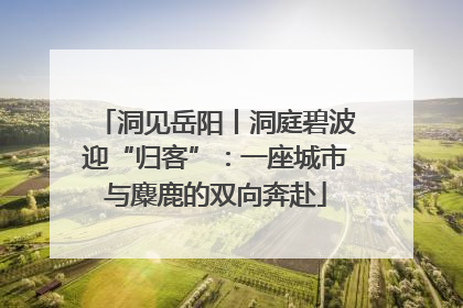 洞见岳阳丨洞庭碧波迎“归客”：一座城市与麋鹿的双向奔赴