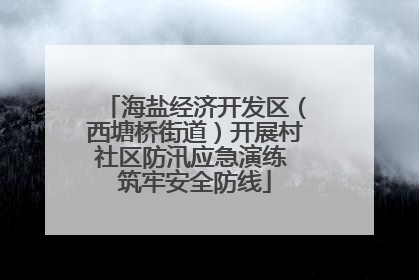 海盐经济开发区（西塘桥街道）开展村社区防汛应急演练 筑牢安全防线