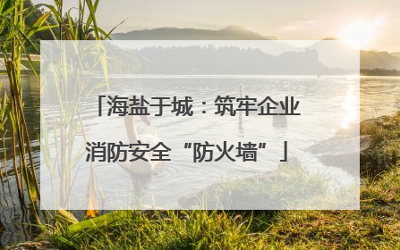 海盐于城：筑牢企业消防安全“防火墙”