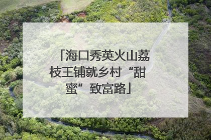 海口秀英火山荔枝王铺就乡村“甜蜜”致富路