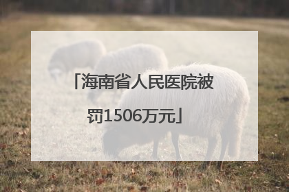 海南省人民医院被罚1506万元