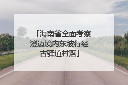 海南省全面考察澄迈境内东坡行经古驿道村落