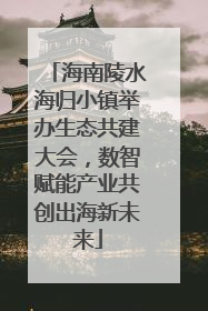 海南陵水海归小镇举办生态共建大会，数智赋能产业共创出海新未来