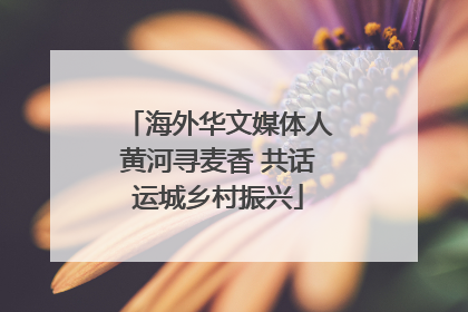 海外华文媒体人黄河寻麦香 共话运城乡村振兴
