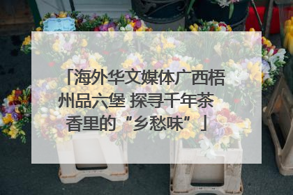 海外华文媒体广西梧州品六堡 探寻千年茶香里的“乡愁味”