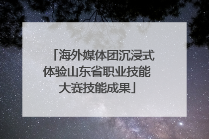 海外媒体团沉浸式体验山东省职业技能大赛技能成果