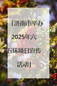 济南市举办2025年六五环境日宣传活动