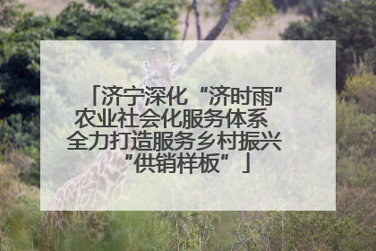 济宁深化“济时雨”农业社会化服务体系 全力打造服务乡村振兴“供销样板”