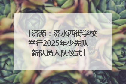 济源：济水西街学校举行2025年少先队新队员入队仪式