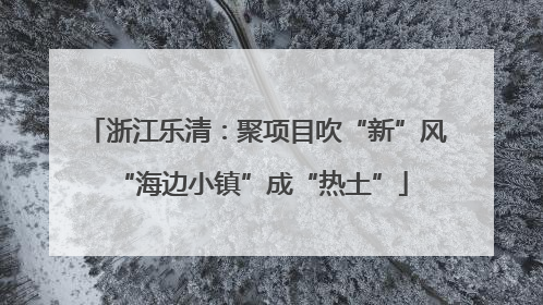 浙江乐清：聚项目吹“新”风 “海边小镇”成“热土”