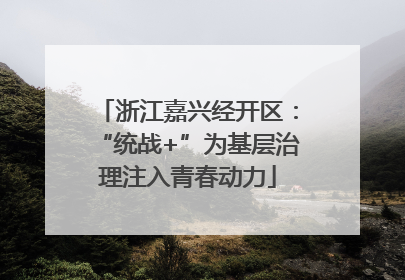 浙江嘉兴经开区：“统战+”为基层治理注入青春动力