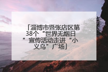 淄博市暨张店区第38个“世界无烟日”宣传活动走进“小义乌”广场