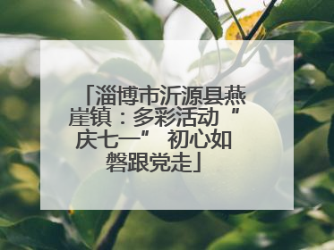 淄博市沂源县燕崖镇：多彩活动“庆七一” 初心如磐跟党走