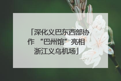 深化义巴东西部协作 “巴州馆”亮相浙江义乌机场